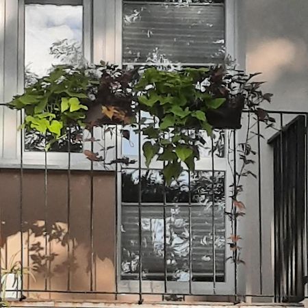 Apartament Jak W Domu Zamość Esterno foto