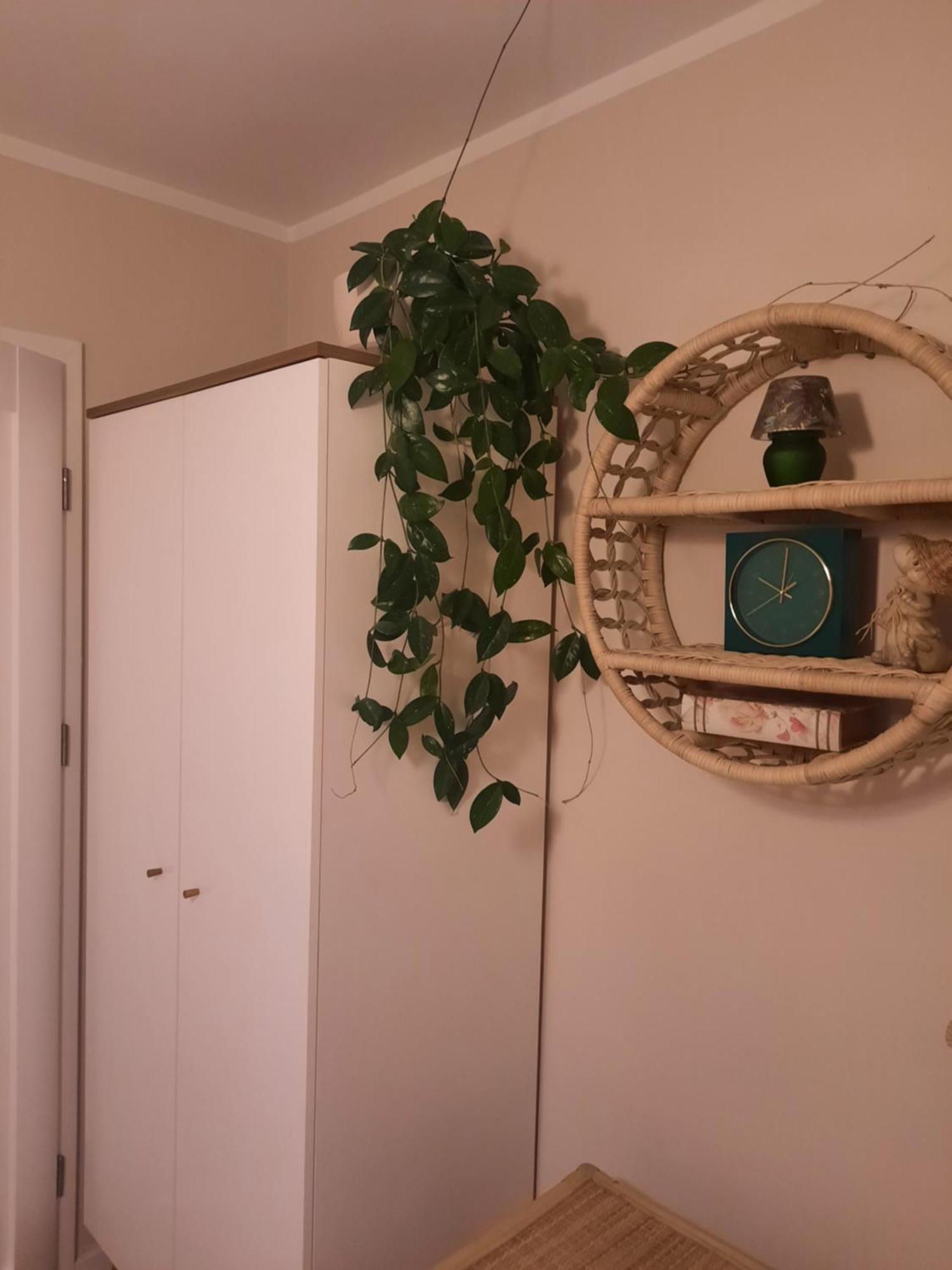 Apartament Jak W Domu Zamość Esterno foto
