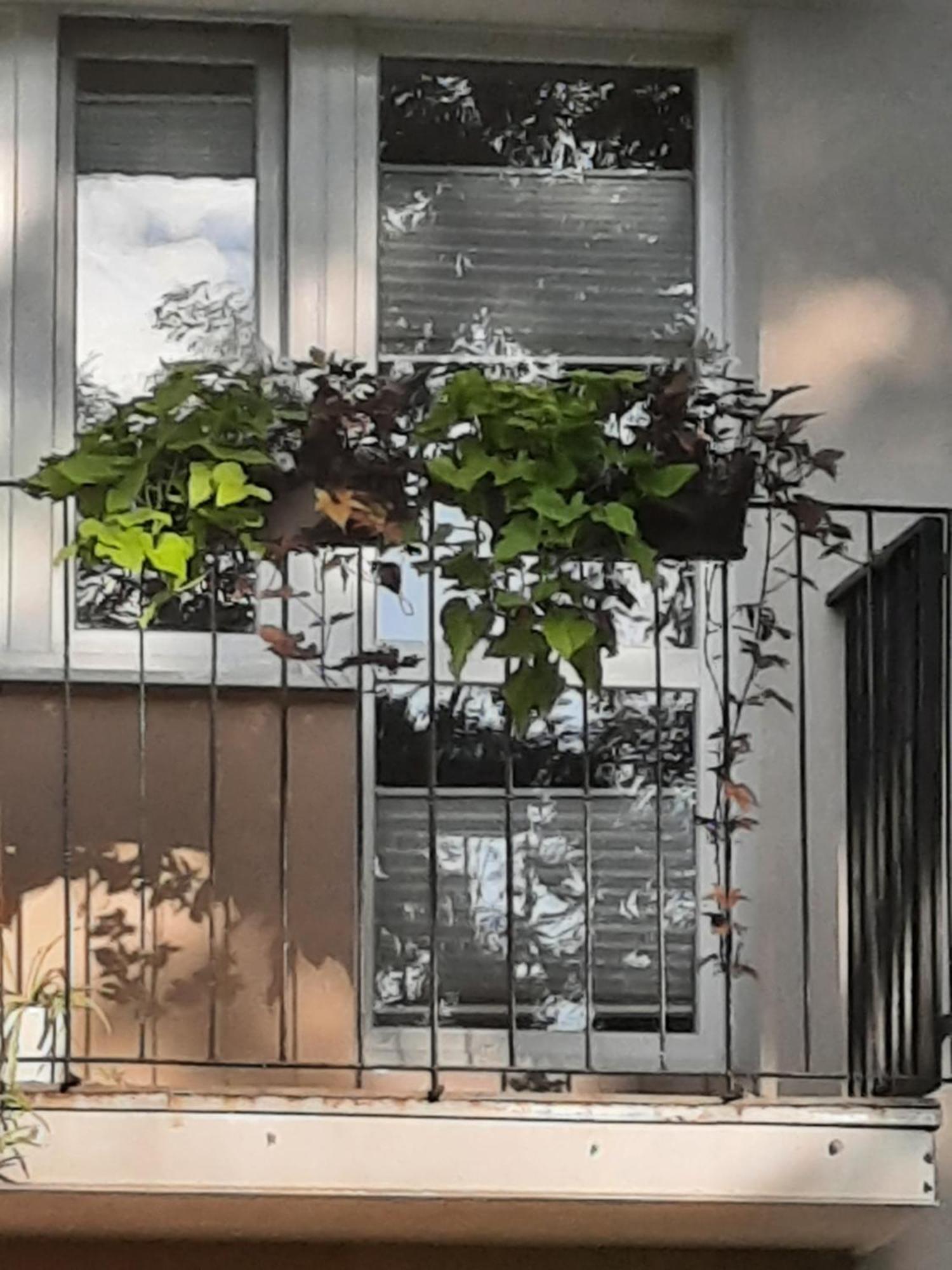 Apartament Jak W Domu Zamość Esterno foto