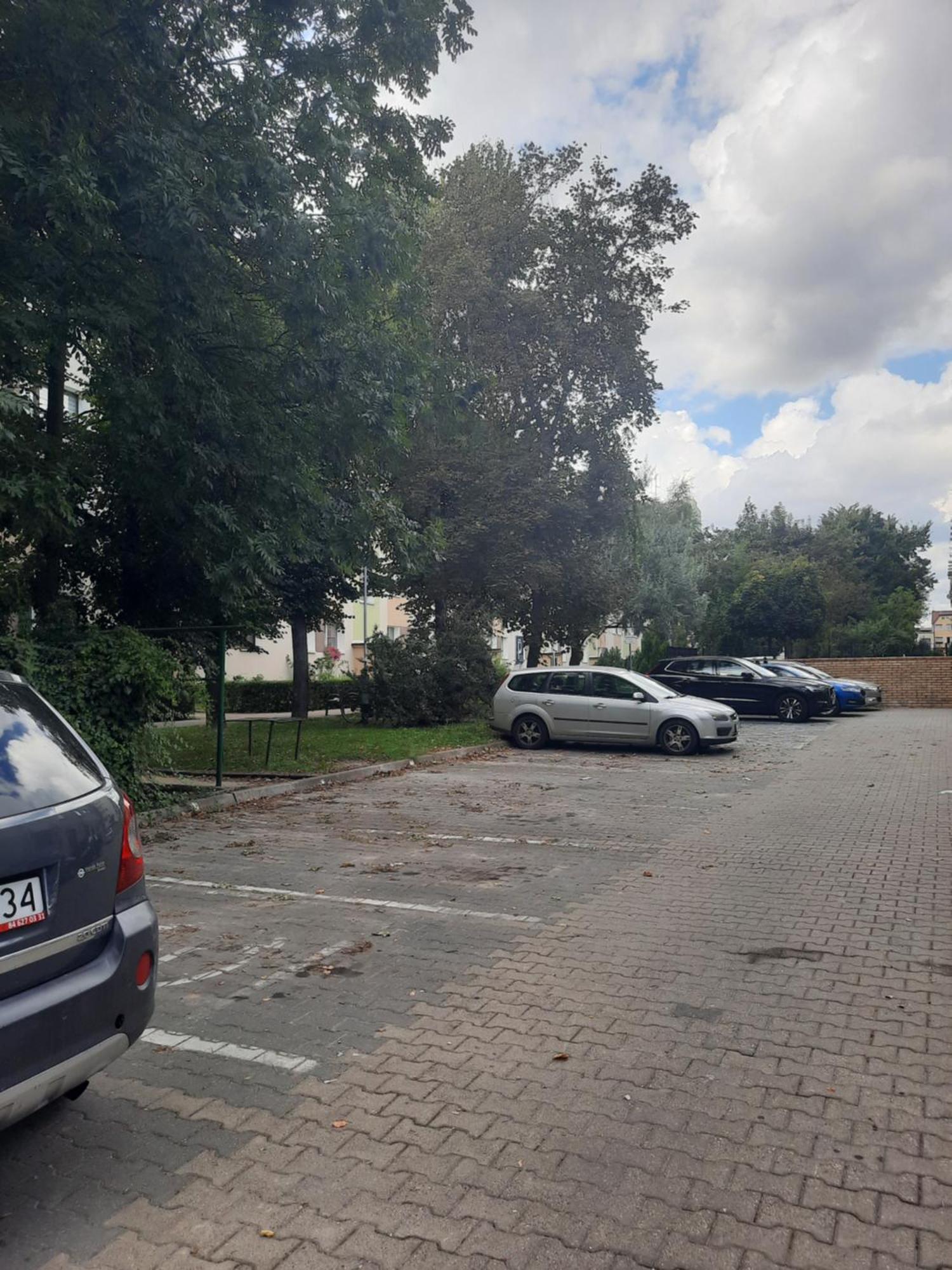 Apartament Jak W Domu Zamość Esterno foto