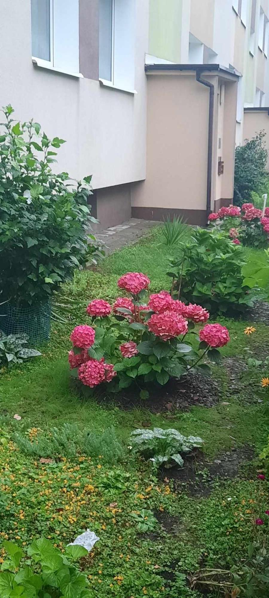 Apartament Jak W Domu Zamość Esterno foto
